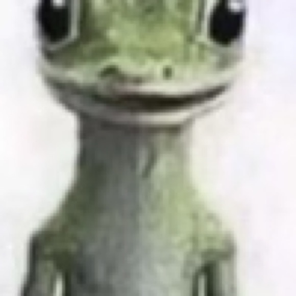 Meet your Posher, Jeremiah - Picture 1 of 1